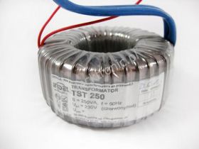 TST250W 28V(250/022)8,92A TOROID.