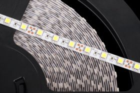 TASMA LED 60X5050 BI.ZIMNA.1M