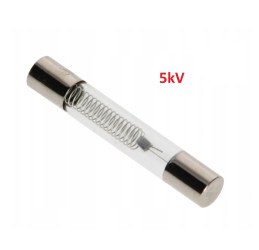 5kV Microwave Oven Fuse