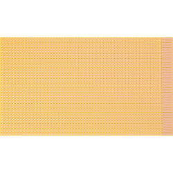 WR Rademacher VK C-820 Laboratory Card For 39-Pin Direct Plugs 160 x 100 x 1.5mm