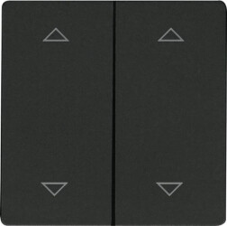 DW-F4T55E-am+2P