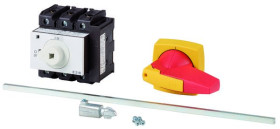 Przełącznik izolacyjny 3-biegunowy 63A Eaton Panel tylny 30kW