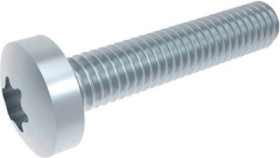 Pan head screw, TX, M3, Ø 6 mm, 10 mm, steel, galvanized, according to DIN 7985, BYB-3-14H8931