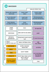 Wellness Measurement Microcontroller