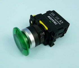 NYG3-MLG 5A/230VAC 1xNO GREEN LED IP65