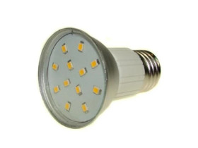 Żarówka LED PRIN E27 12x2835 2W WW