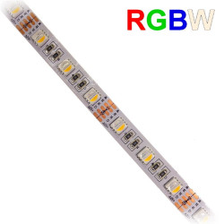 Taśma LED SMD5050 RGB+WW(1m)(300 RGBW biały ciepły wersja PREMIUM 12VDC