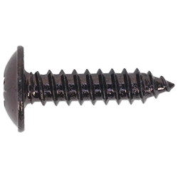 Sealey BST4819 Self Tapping Screw 4.8 x 19mm Flanged Head Black Pozi Pack Of 100