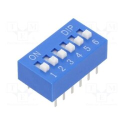 55DSE06BGT