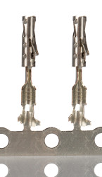 Zacisk zagniatany Żeński Molex CP 24AWG 0.2mm² Obudowa złącza CMC