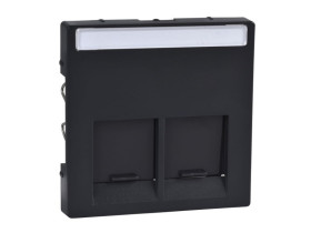 MERTEN Płytka czołowa 2 podwójna do złącza 2xRJ45 S.M. antracytowa MTN466514 SCHNEIDER ELECTRIC