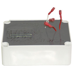 Raytech Rubber Fluid 350 Magic 350ml Sachet