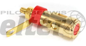 Gniazdo bananowe złocone ze sprężyną czerwone