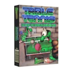 Table Tennis Simulation