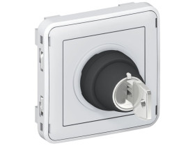 PLEXO IP55 Wyłącznik z kluczem 2 pozycje szary 3A 250V 069534 LEGRAND