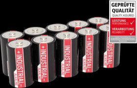 1504-0000 Pack of 10 industrial batteries, D alkaline