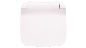 Valena Allure Plakietka Gniazda Pojedynczego 2P+Z Z Klapką Biały 754865