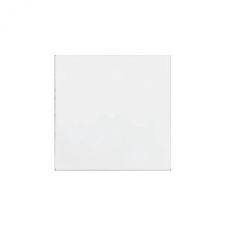 Simon 55 Klawisz pojedynczy do: SW1M, SW6M, SW7M, SP1M Antybakteryjny Biały mat TKW1/AB111