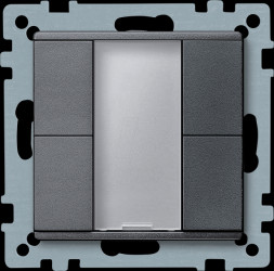 627614 Push-button, 2-gang plus, anthracite