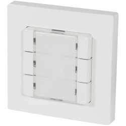 HOMEPILOT 12501006 Wireless Wall Switch Surface-Mount 1 piece