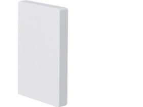 tehalit.BRP Końcówka 65x100 biała BRP6510069016 HAGER