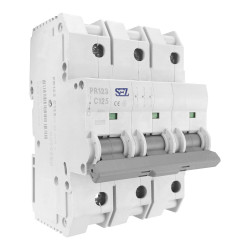 C125A 3P 10kA Wyłącznik nadprądowy bezpiecznik eska PR123 SEZ 0097129