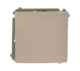 Simon Basic Łącznik jednobiegunowy, szybkozłącza, beżowy BMW1.01/12