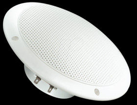 2116 VISATON full-range speaker, 16cm, IP65, white