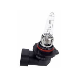 Żarówka HB3 P20D 9005 12V 60W EINPARTS / EPB04