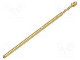 TK0031N.T127C120A