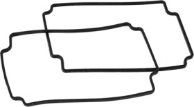 Seal, silicone, (L) 125 mm, black, for series 1590Z 120, 1590Z120G