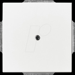 1742-84 Cover plate with support ring