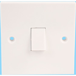 Schneider Electric GSW1G1W 1 Gang 1 Way 10A Plate switch