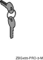 Zestaw 2 kluczy 455 z osł. ZBG455P