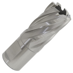 Worksafe RBHSS21S Rotabor Cutter HSS &#xD8;21mm - Cut Depth 25mm