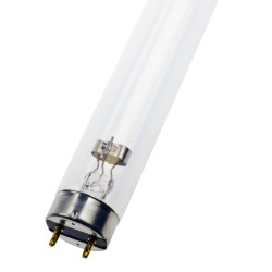 Lampy bakteriobójcze UV T8 G13 15 W 437 mm