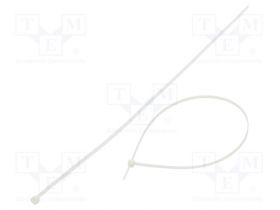 FIX-S-4.8X450/N