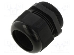 AIO-BSCS-29