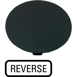 Button plate, mushroom,+inscription