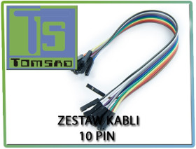 Cable 10 pin ( 10 wires)