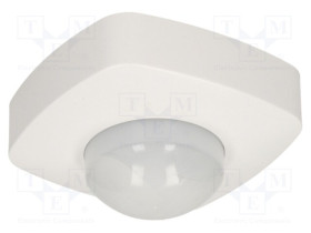 OR-CR-247