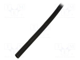 LP-61806505