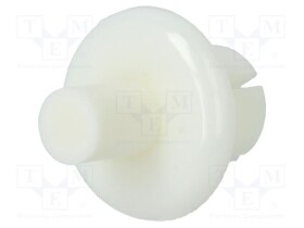 DR8G4056.0X4.0W