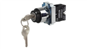 Wyłącznik Piórkowy Piórowy Z Kluczykiem As22-Bg21