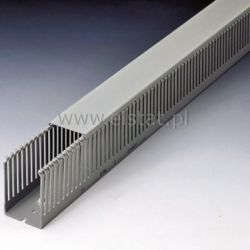 Korytko grzebieniowe 25x60 ( S=25 x W=60 L=2m)