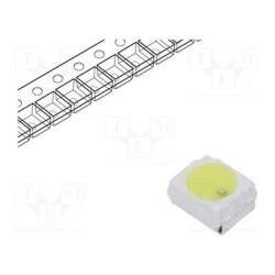 55OSW5DLS1C1A-12V
