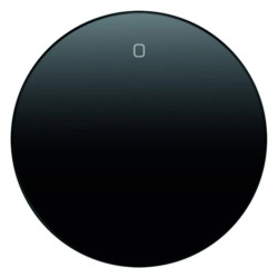 Klawisz z nadrukiem cali0cali Berker R.1/R.3 czarny połysk 16222045