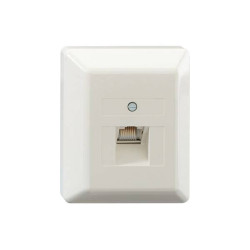 Gniazdo sieciowe Rutenbeck UAE 8(8) Ap rw 13010129, 1 Port, nadtynkowy