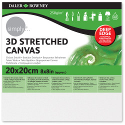 Daler Rowney 3D Stretched Canvas 20x20x4cm