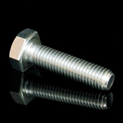 Śruba z głowicą sześciokątną 250szt. S 10X50_ZNCR